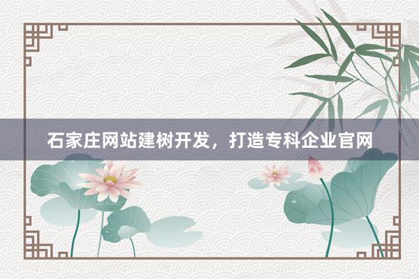 石家庄网站建树开发，打造专科企业官网