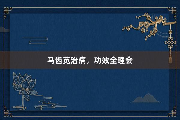 马齿苋治病，功效全理会
