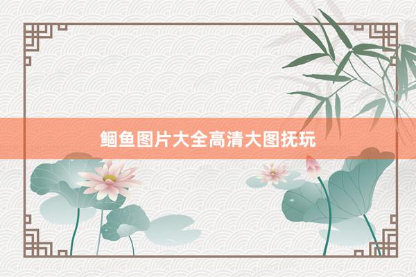 鲴鱼图片大全高清大图抚玩