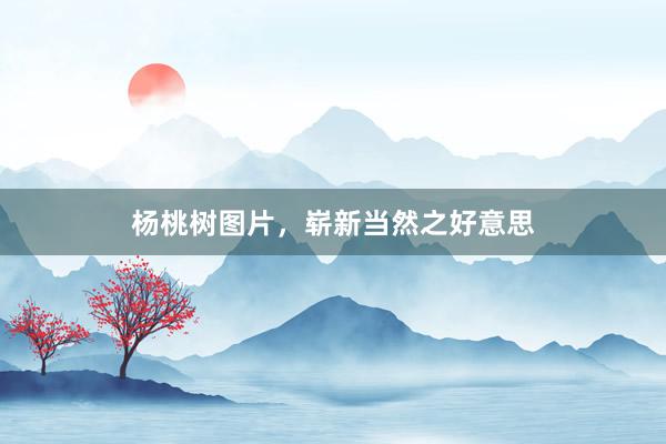 杨桃树图片，崭新当然之好意思